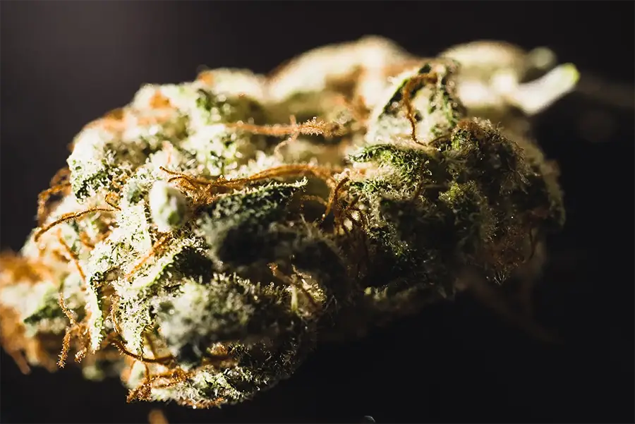 Cover Article Benzinga