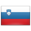FastBuds in Slovenia