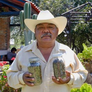 King of The Crop