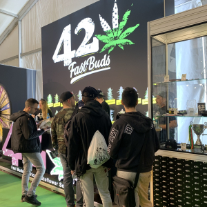 Spannabis 2019