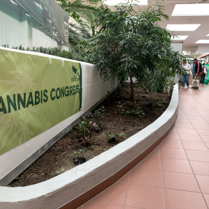 Cultiva Expo & Congress 2019