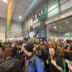 Cannafest 2019
