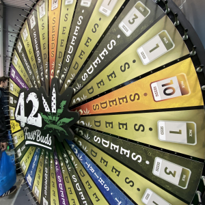 Cannafest 2019