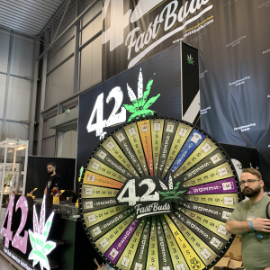 Cannafest 2019