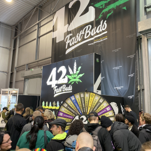 Cannafest 2019