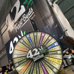 Cannafest 2019