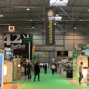 Cannafest 2019