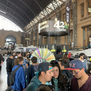 THC Expo