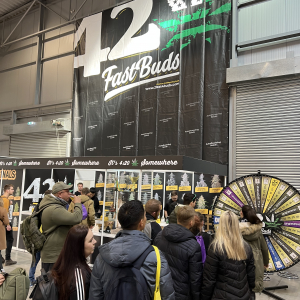 Cannafest