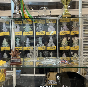 Cannafest