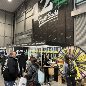 Cannafest