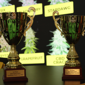 Spannabis 2022