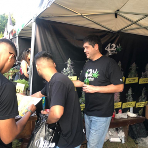 Expo Head Grow 