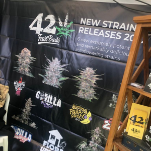 Expo Head Grow 