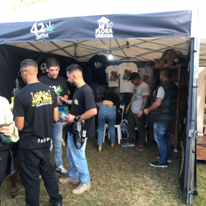 Expo Head Grow 