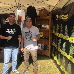Expo Head Grow 