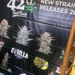 Expo Head Grow 