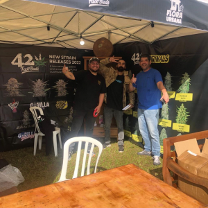Expo Head Grow 