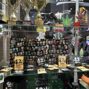 Cannafest