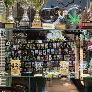 Cannafest