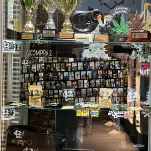 Cannafest