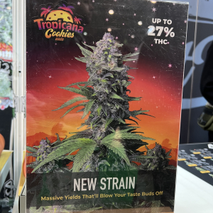 Cannafest