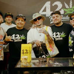 THC Expo