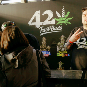 THC Expo