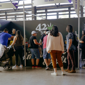 THC Expo