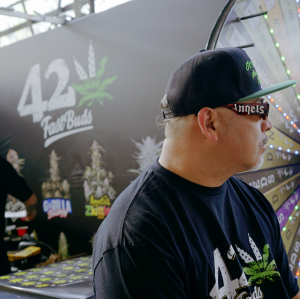 THC Expo