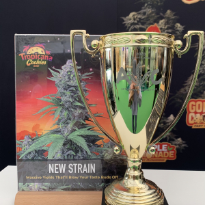 Autoflower World Cup 2023