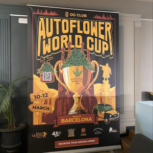 Autoflower World Cup 2022