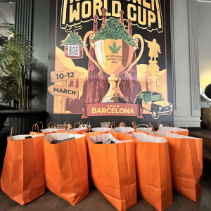 Autoflower World Cup 2022