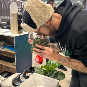 Cannafest