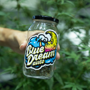 Asia International Hemp Expo & Forum 2023