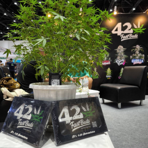 Asia International Hemp Expo & Forum 2023
