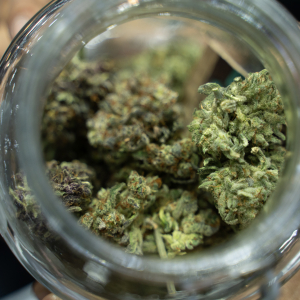 Asia International Hemp Expo & Forum 2023
