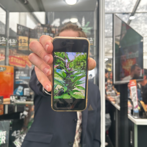 Spannabis 2024