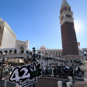 MJBizCon