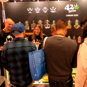 MJBizCon