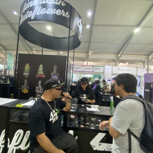 Expo Weed Chile 2023