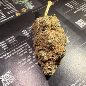 Mary Jane Berlin