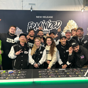 Spannabis 2025