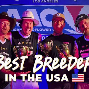 American Autoflower Cup 2025