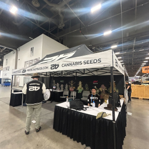 MJBizCon 2025