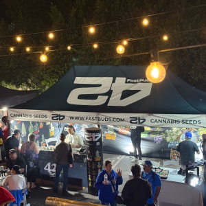 American Autoflower Cup 2026