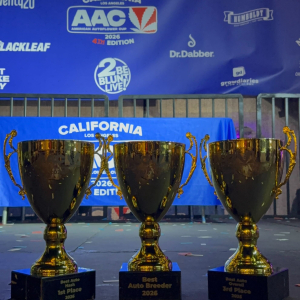 American Autoflower Cup 2026