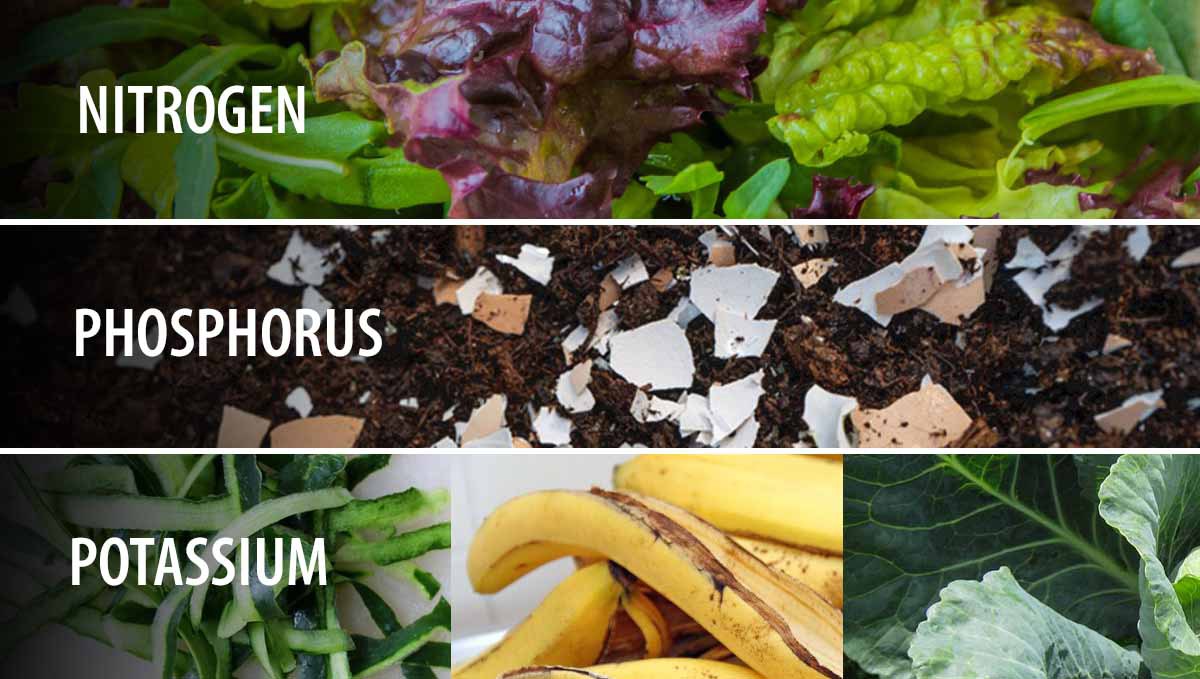 Composting: sources of NPK