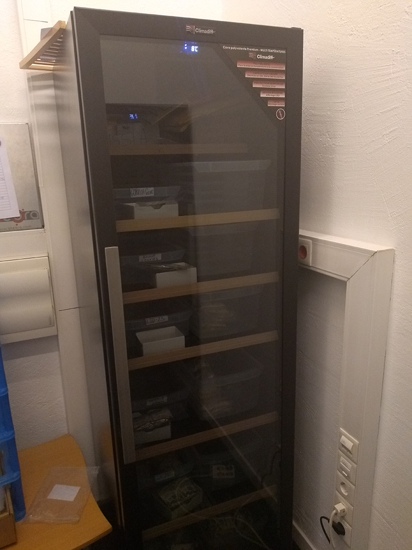 Cannabis Seed Storage at Fast Buds' HQ
