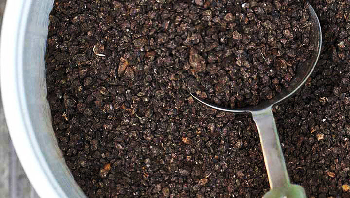 Growing Auto Plants Plants Using Organic Fertilizers: Bat Guano